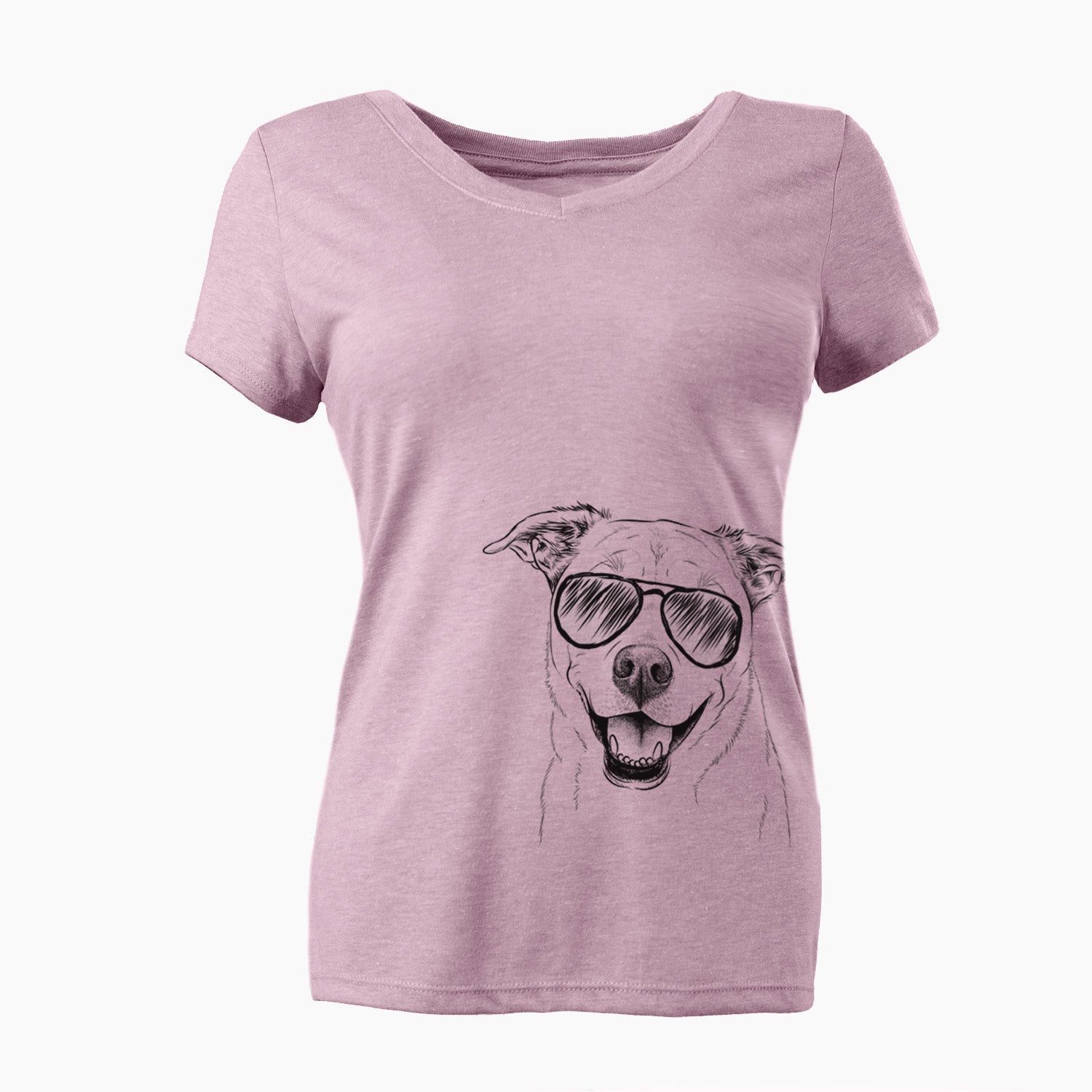 Aviator Carl the Mixed Breed - Women's V-neck Shirt