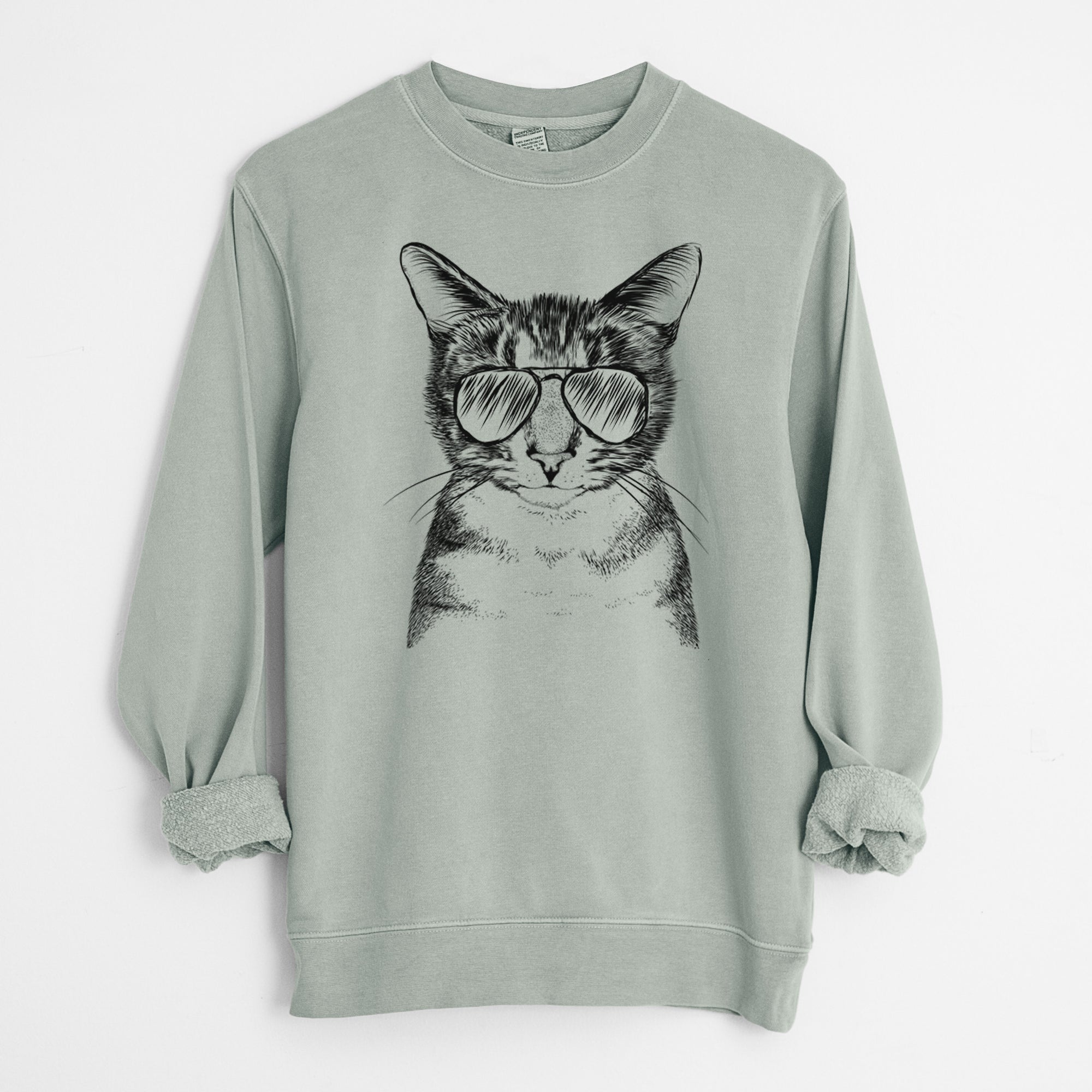 Aviator Hobbes the Tabby Cat - Unisex Pigment Dyed Crew Sweatshirt