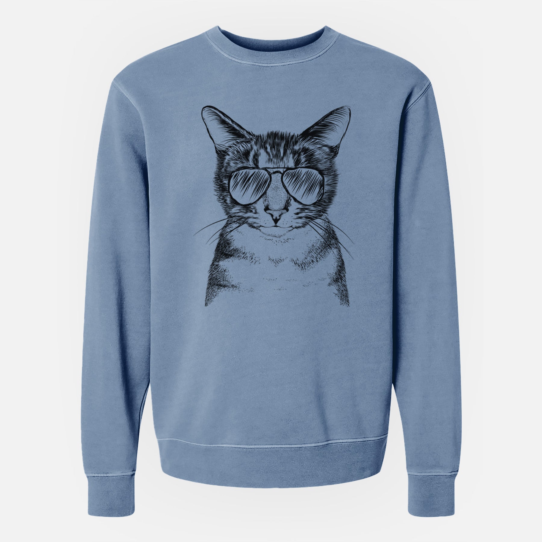 Aviator Hobbes the Tabby Cat - Unisex Pigment Dyed Crew Sweatshirt