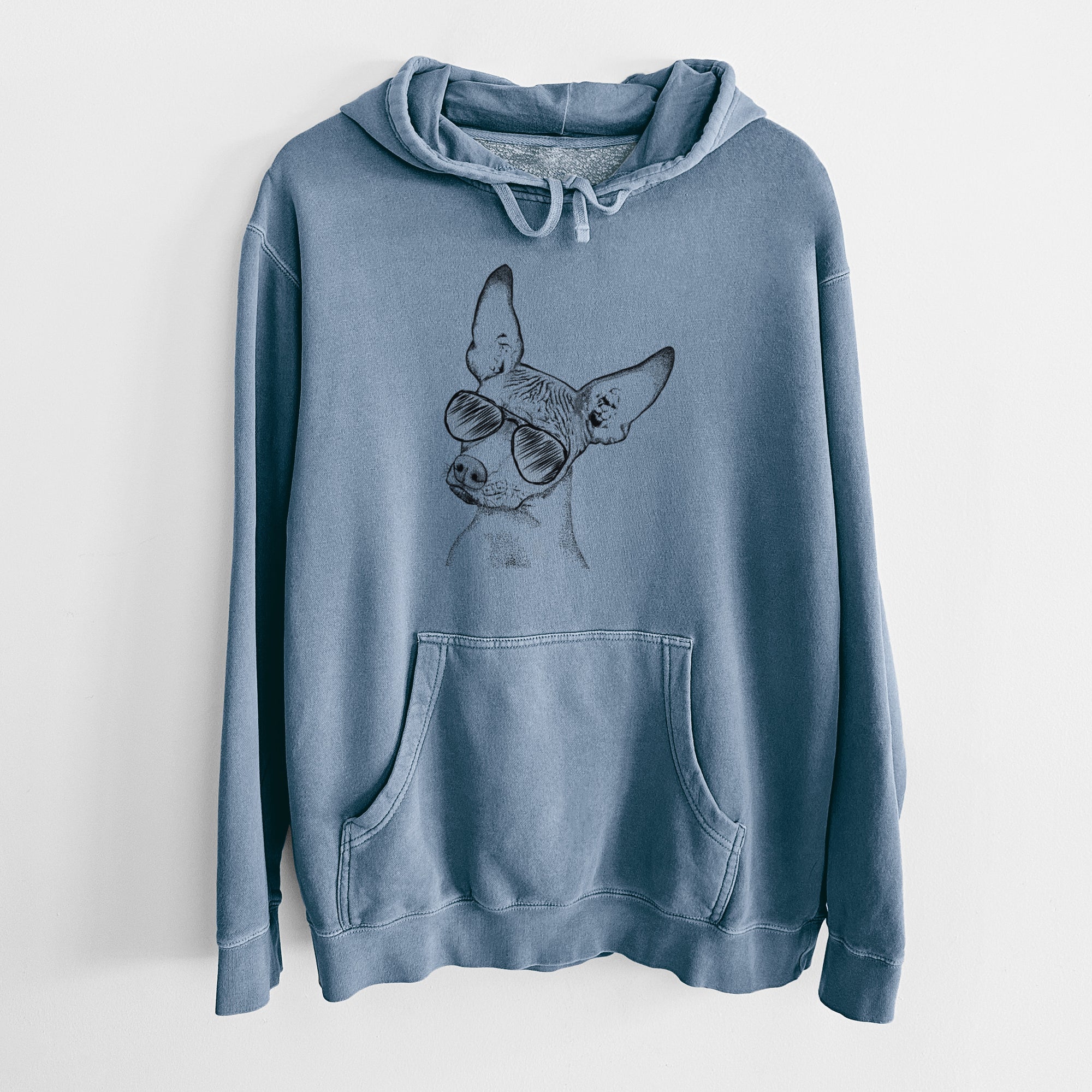 Aviator Kahlo the Xoloitzcuintli - Unisex Pigment Dyed Hoodie