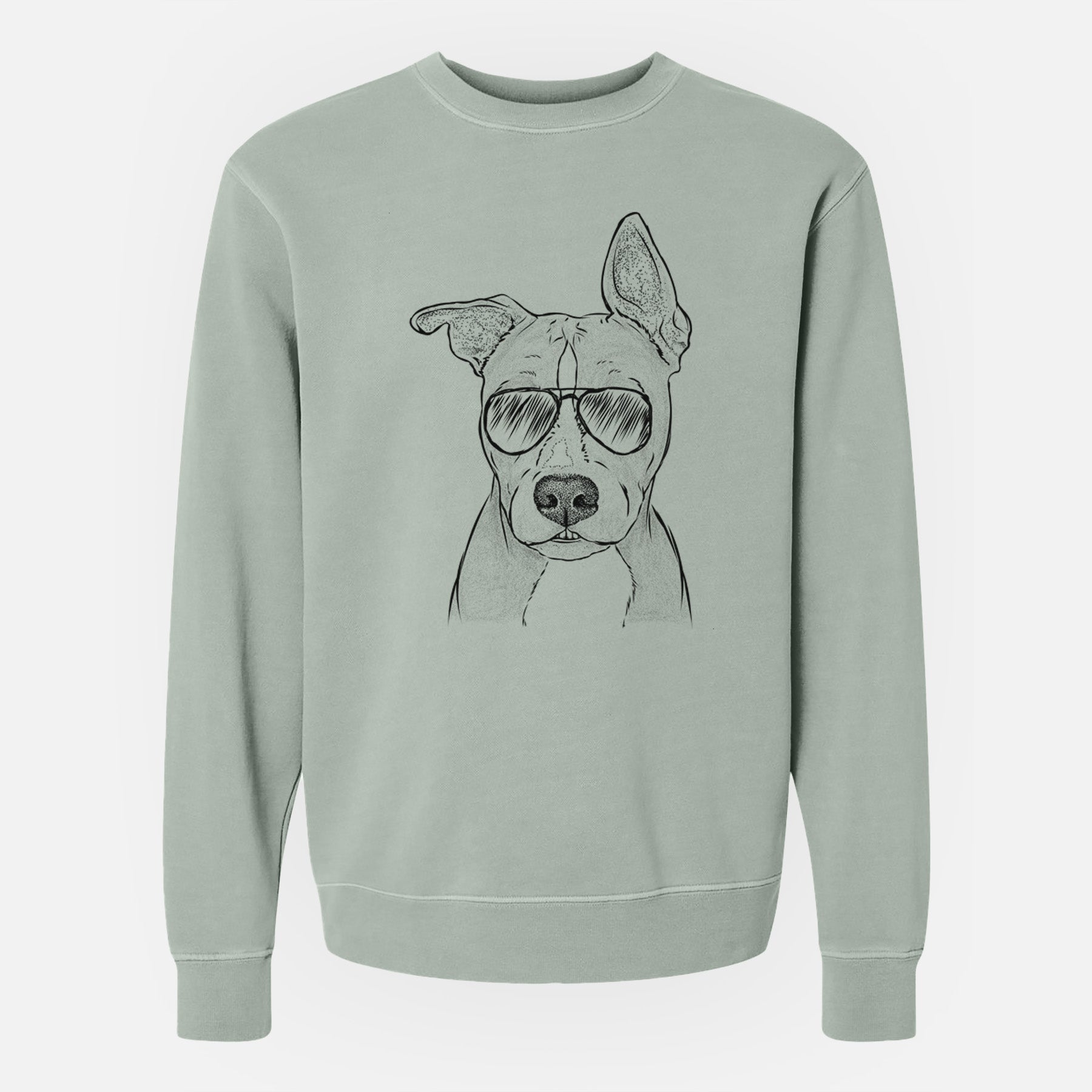 Aviator Kisses the Pitbull - Unisex Pigment Dyed Crew Sweatshirt