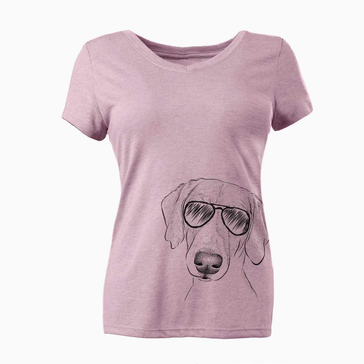 Aviator Stanley the Foxhound - Women's V-neck Shirt