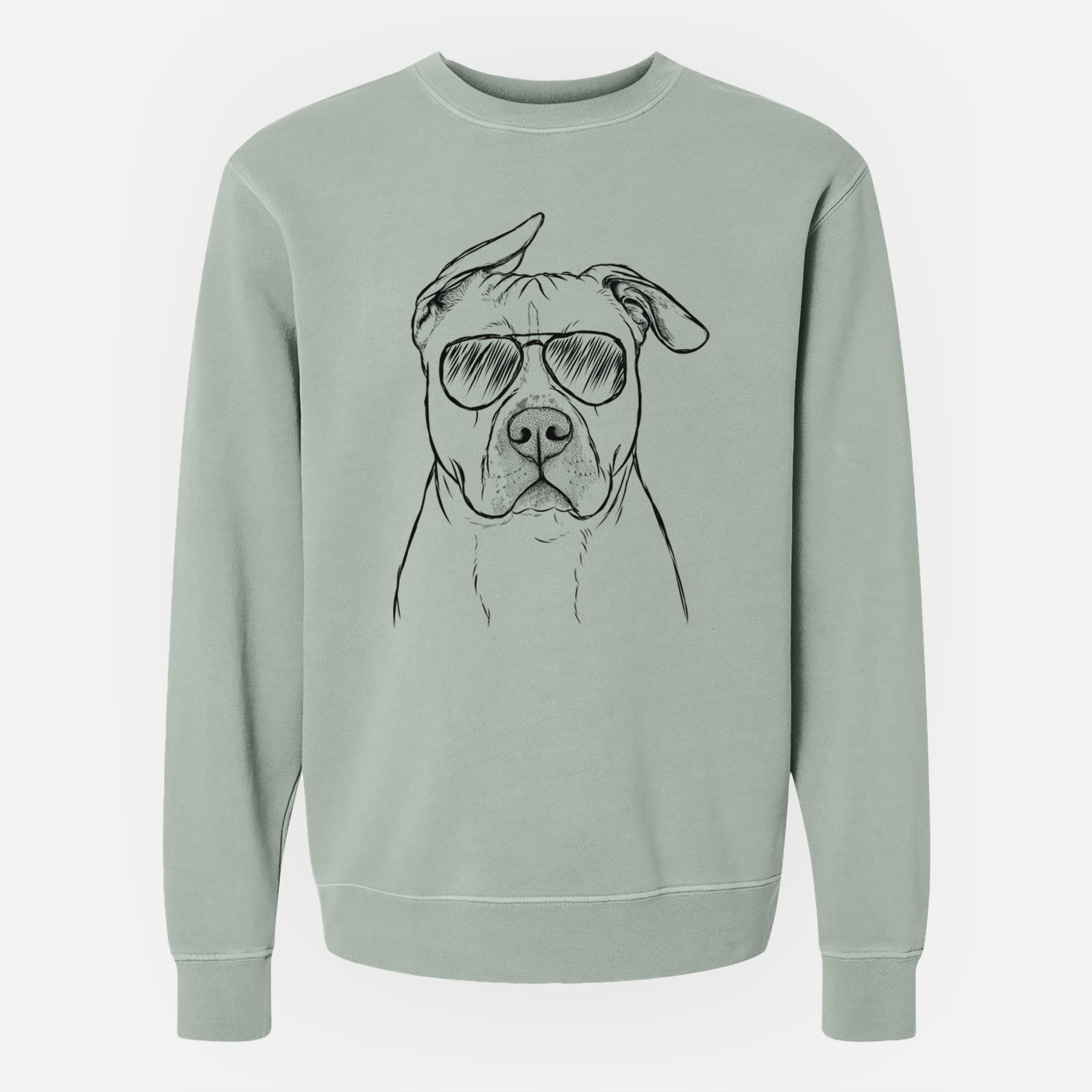 Aviator Teddy Jam the Pitbull - Unisex Pigment Dyed Crew Sweatshirt