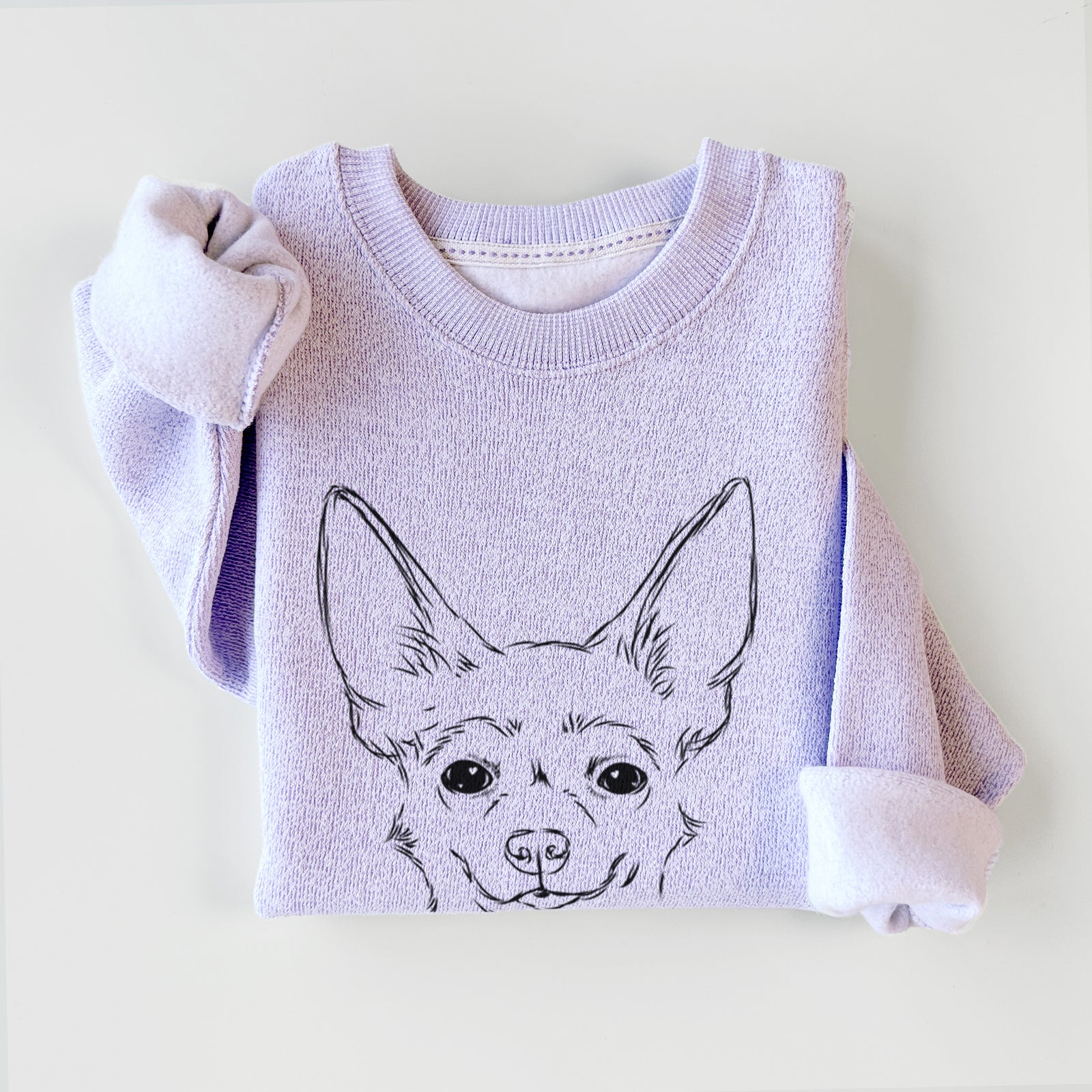Amos the Chihuahua - Knit Sweatshirt