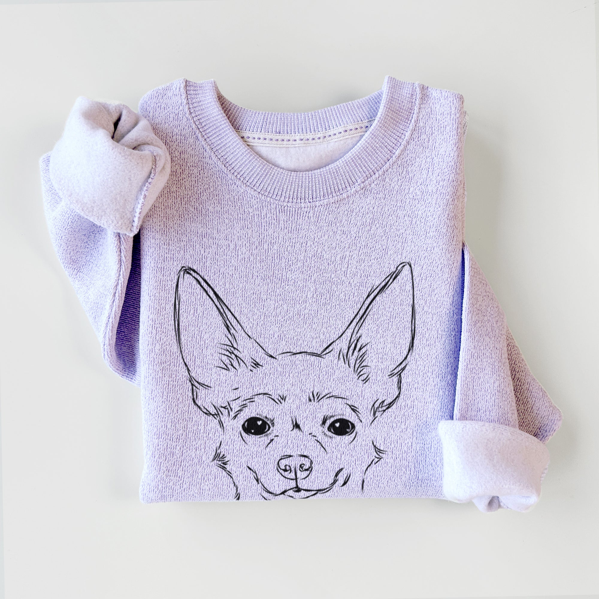 Amos the Chihuahua - Knit Sweatshirt