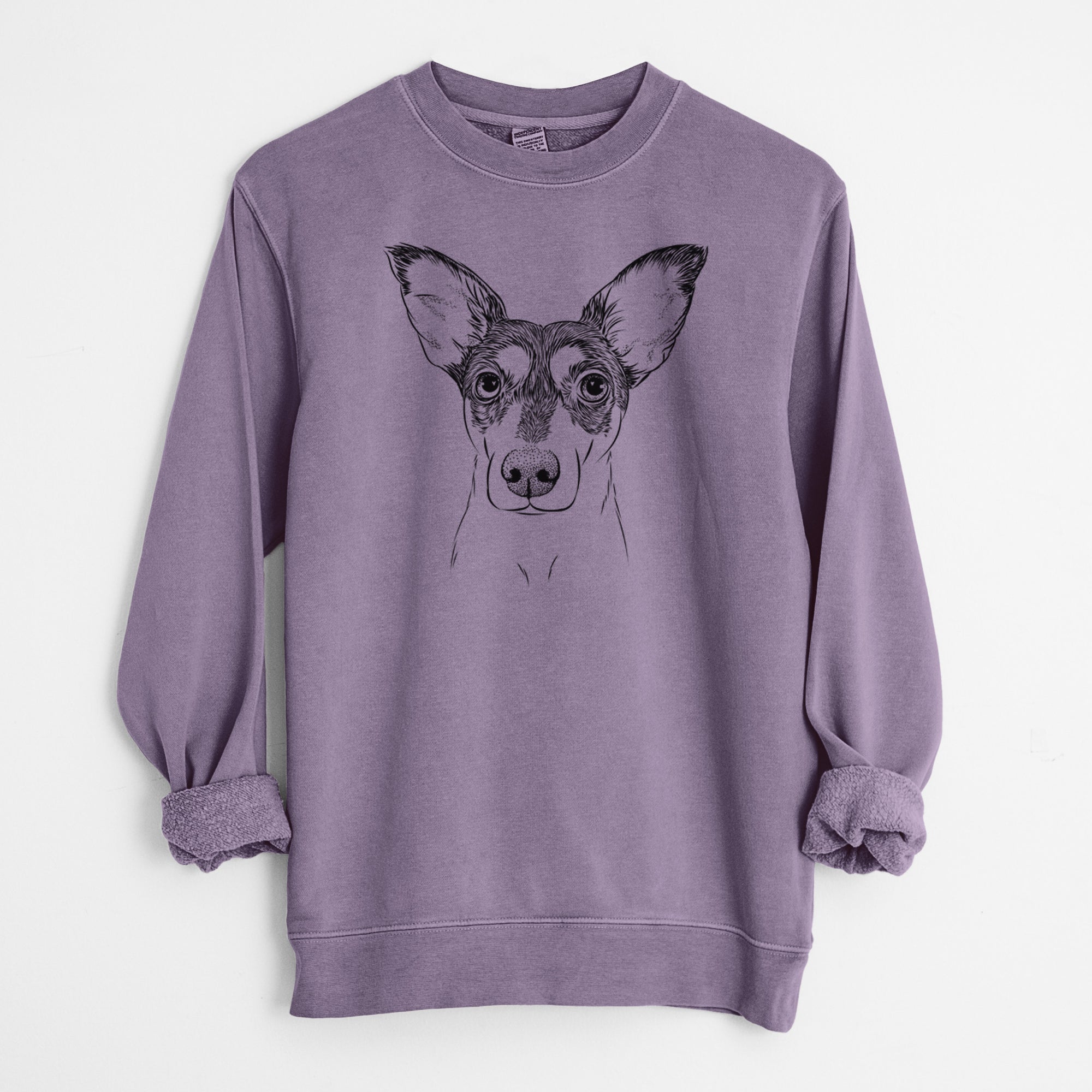 Bare Chloe the Doxie Mix - Unisex Pigment Dyed Crew Sweatshirt