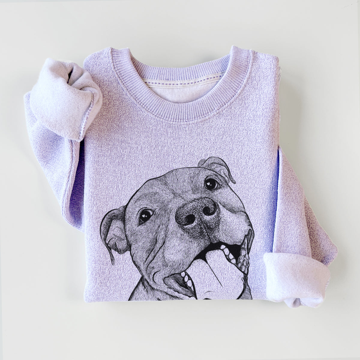 Eloise the Pitbull Mix - Knit Sweatshirt