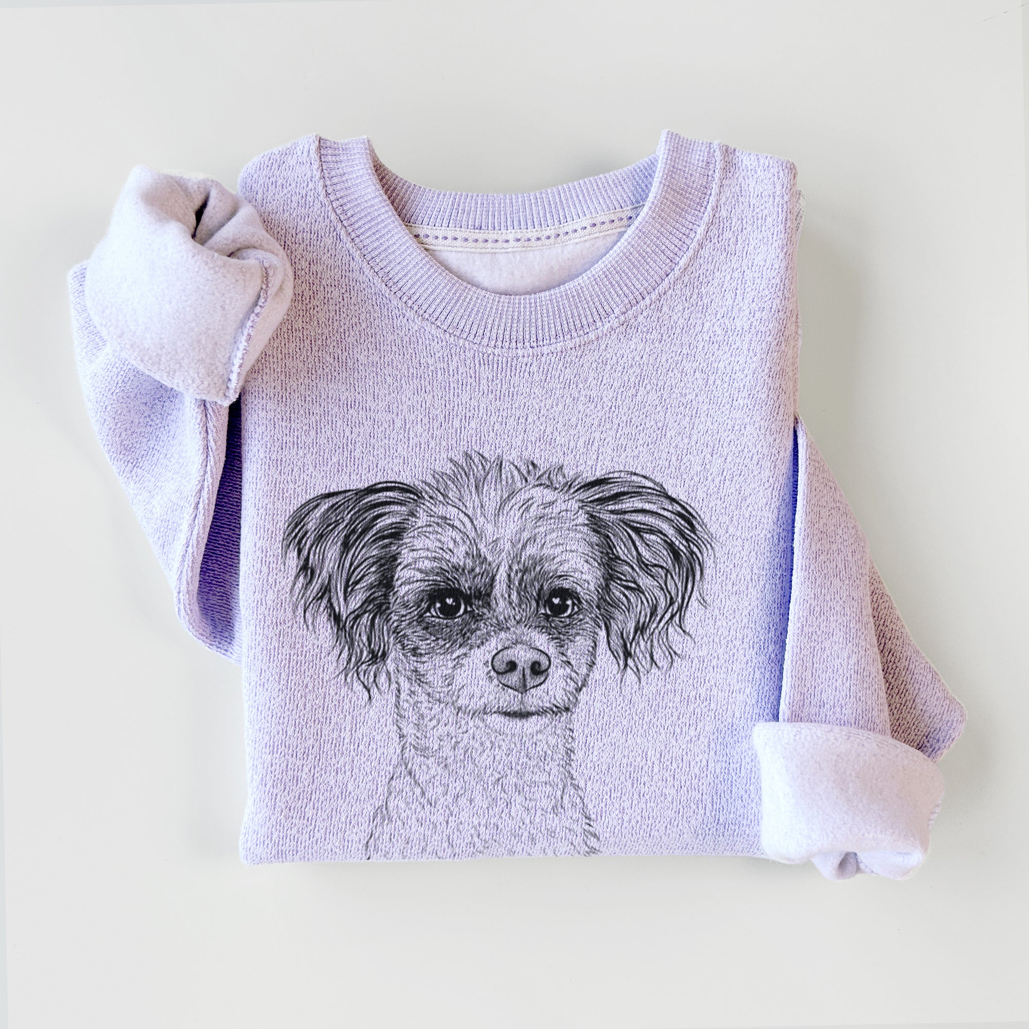 Finley the Papillon Mix - Knit Sweatshirt
