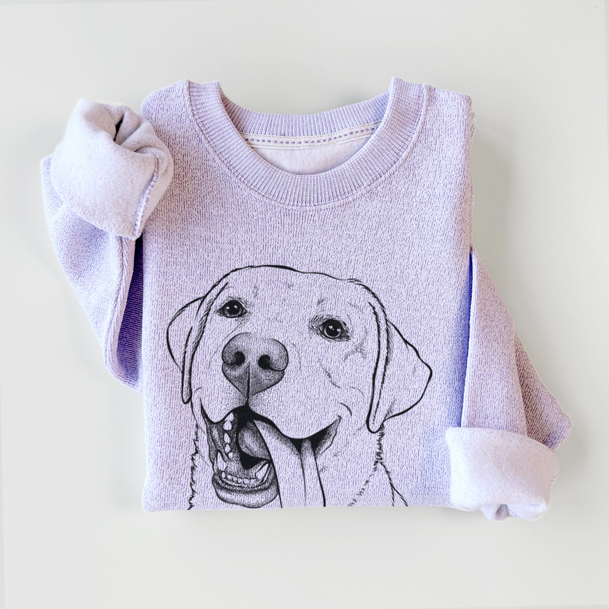 Finn the Labrador Retriever - Knit Sweatshirt