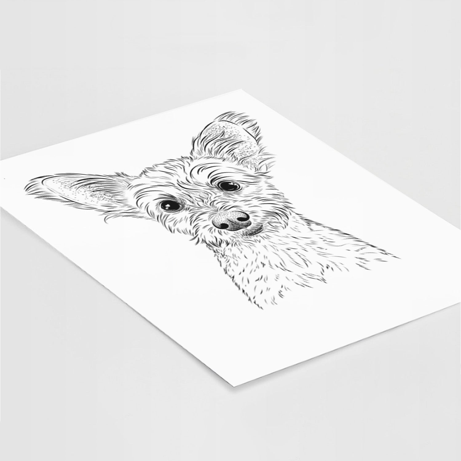 Heidi the Schnauzer Mix Art Print