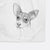 Kailani the Chihuahua Mix Decorative Hand Towel