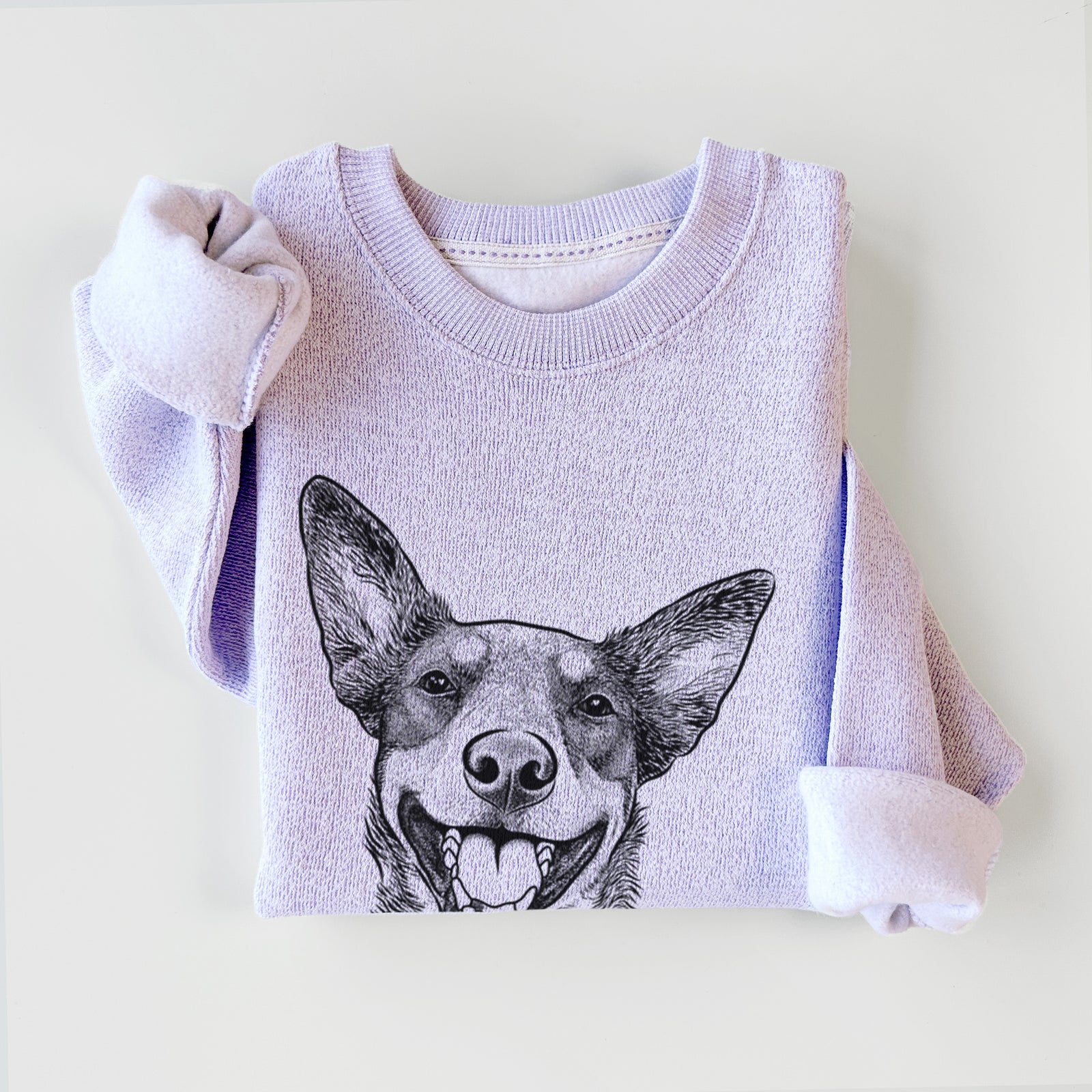 Lily the Australian Cattle Dog - Knit Sweatshirt