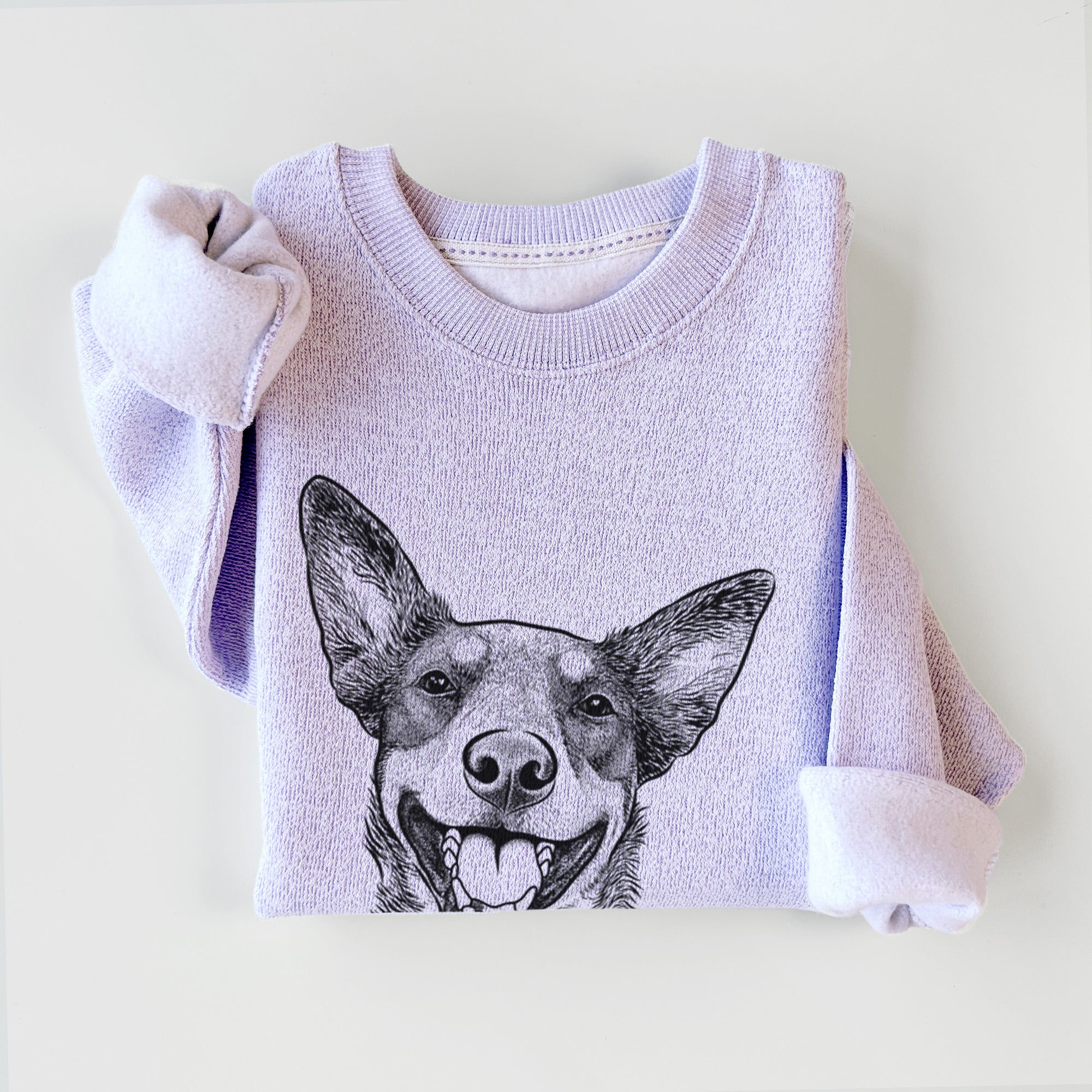 Lily the Australian Cattle Dog - Knit Sweatshirt