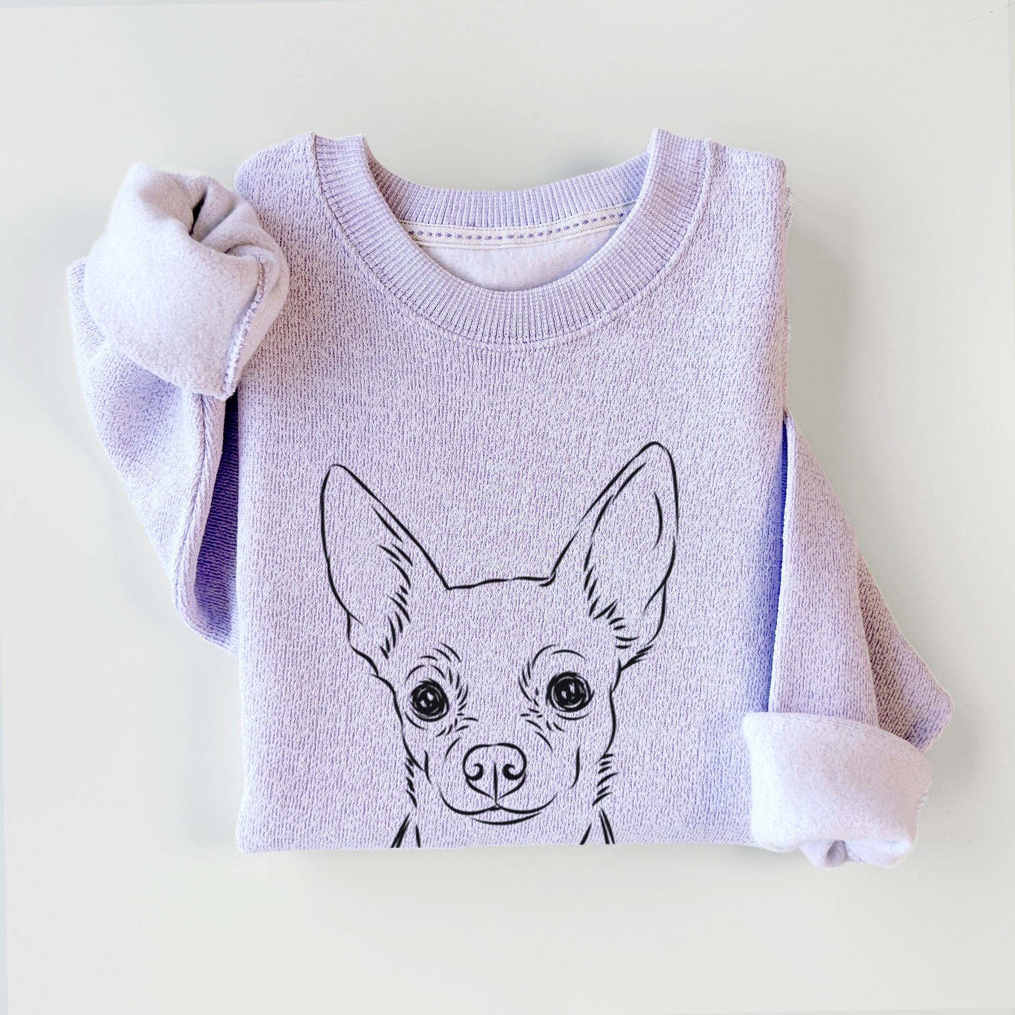 Martini the Chihuahua - Knit Sweatshirt