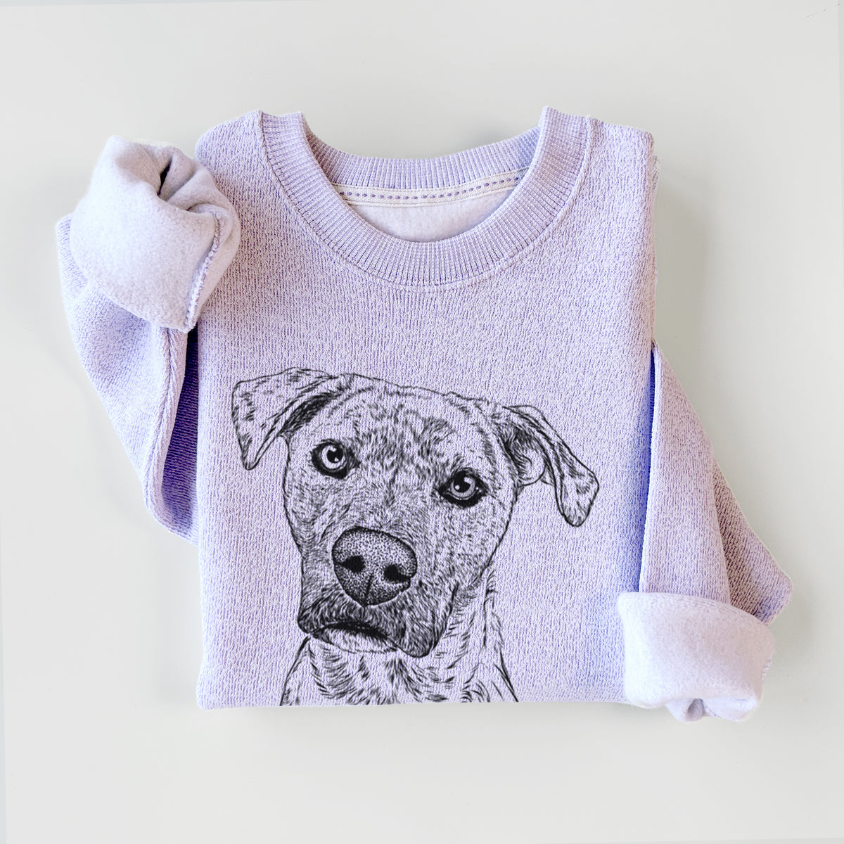 Monster Baby the Pitbull Mix - Knit Sweatshirt