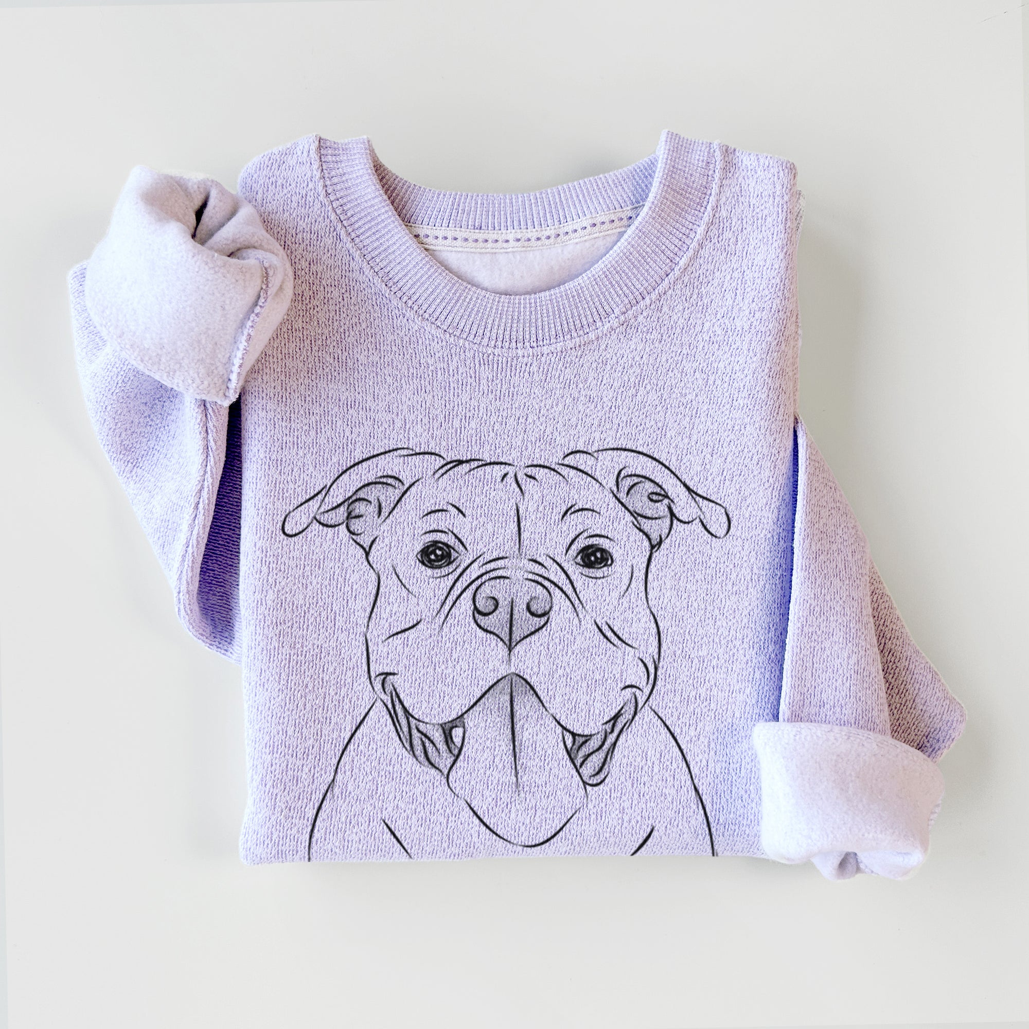 Nacho the American Bully - Knit Sweatshirt