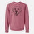 Bare Nate the Labrador Retriever - Unisex Pigment Dyed Crew Sweatshirt