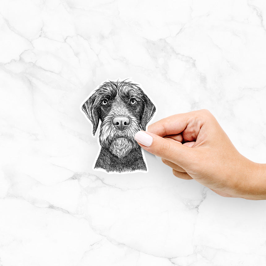 Oakley the Pudelpointer - Decal Sticker