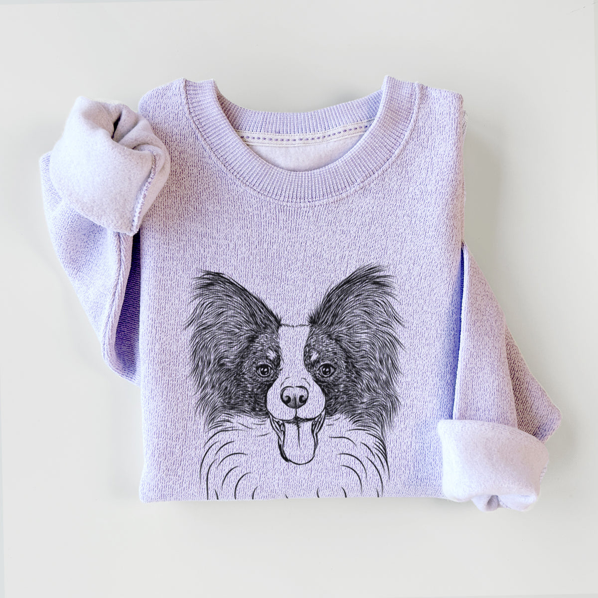 Patrick the Papillon - Knit Sweatshirt