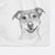 Reese the Mountain Cur Decorative Hand Towel