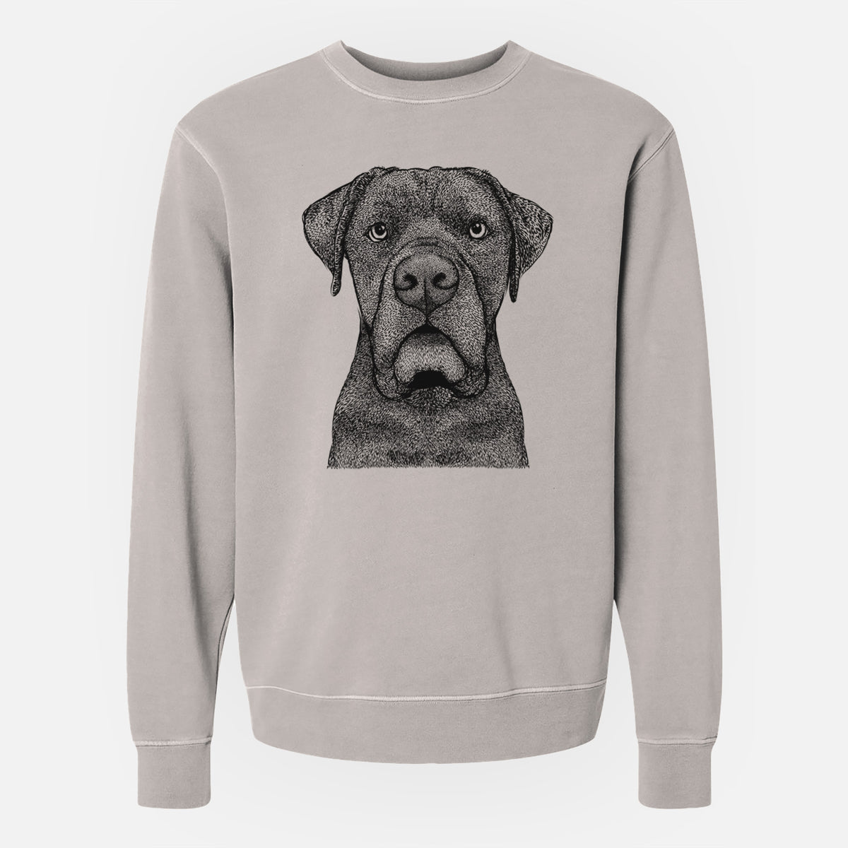 Bare Rocco the Cane Corso - Unisex Pigment Dyed Crew Sweatshirt