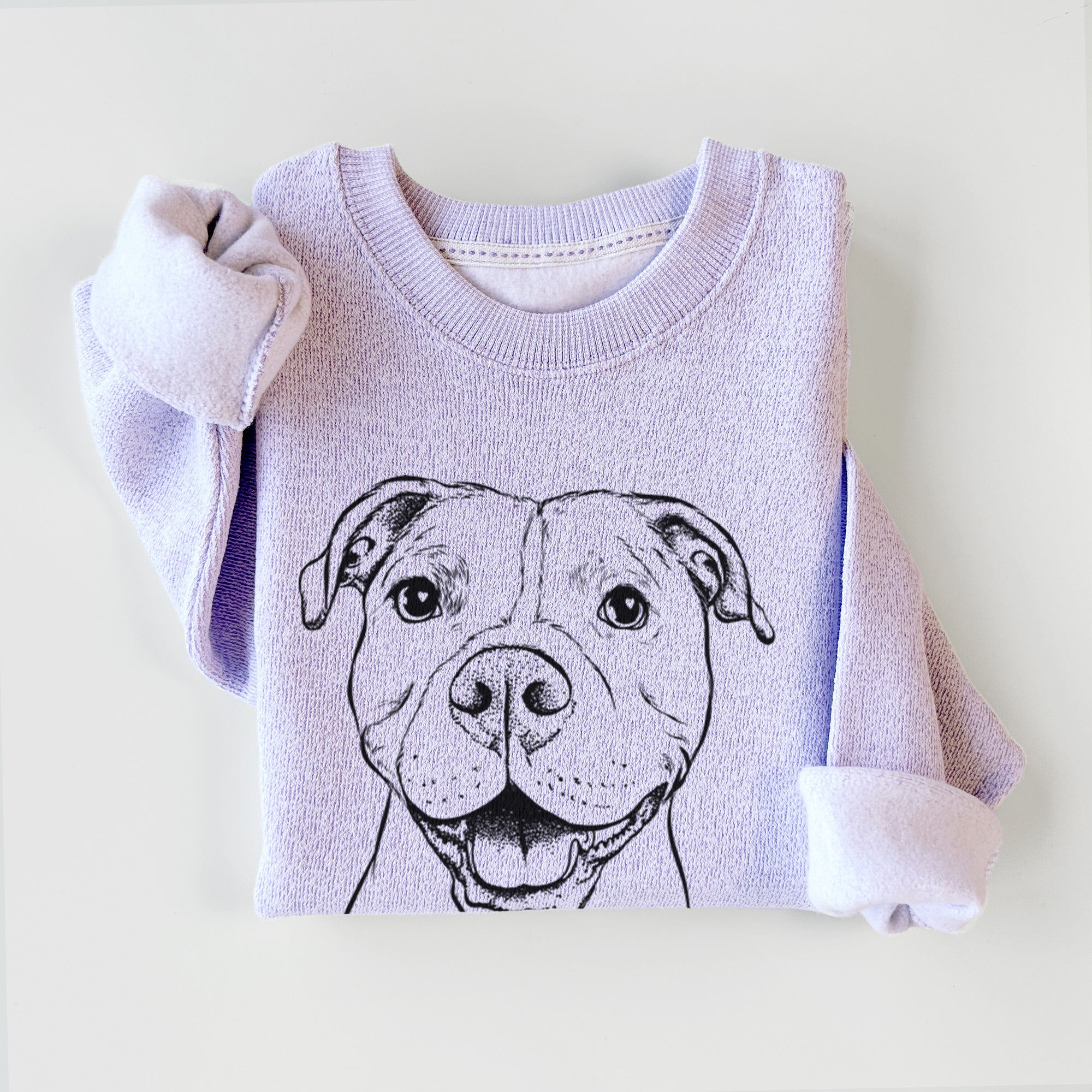 Roscoe the Pitbull - Knit Sweatshirt