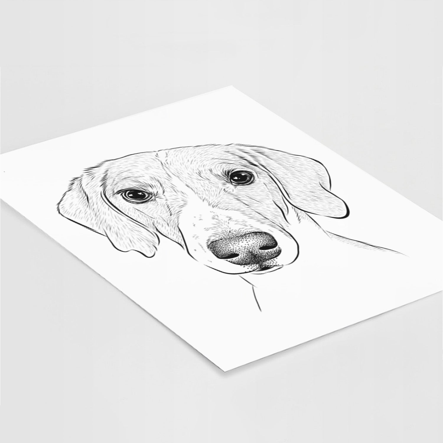 Stanley the Foxhound Art Print