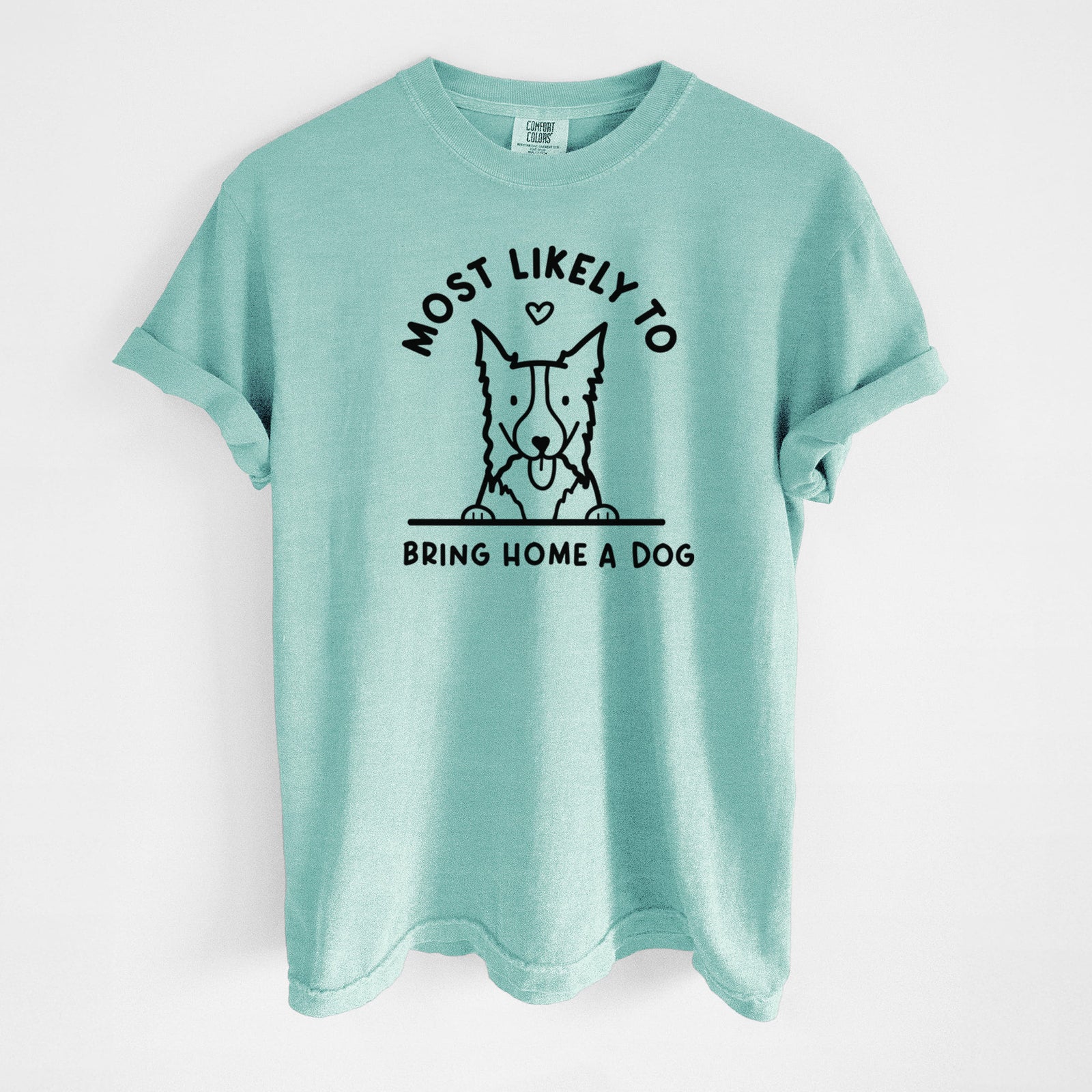 Most Likely to Bring Home a Dog - Border Collie - Unisex Comfort Colors Garment-Dyed Heavyweight T-shirt in Chalky Mint