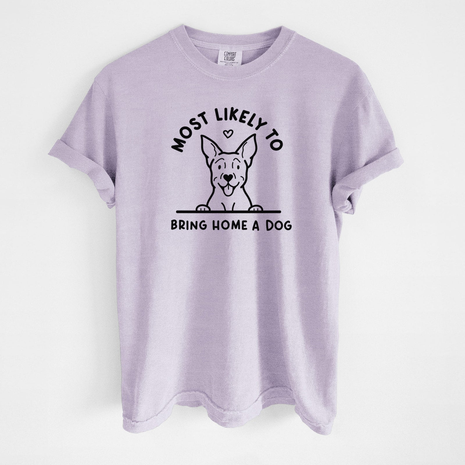Most Likely to Bring Home a Dog - Carolina Dog - Unisex Comfort Colors Garment-Dyed Heavyweight T-shirt in Orchid