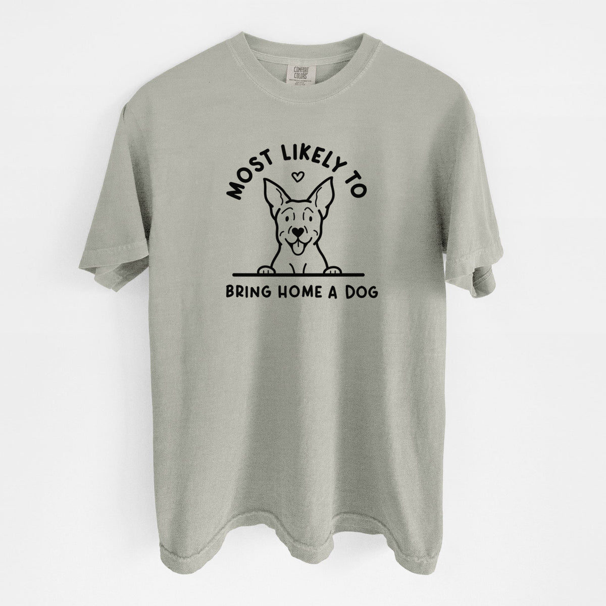 Most Likely to Bring Home a Dog - Carolina Dog - Unisex Comfort Colors Garment-Dyed Heavyweight T-shirt in Sandstone
