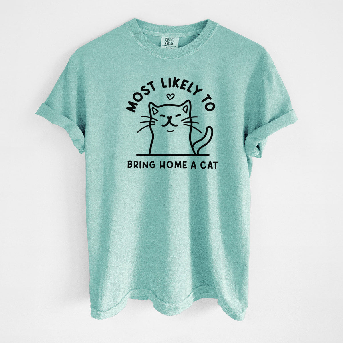 Most Likely to Bring Home a Cat - Unisex Comfort Colors Garment-Dyed Heavyweight T-shirt in Chalky Mint