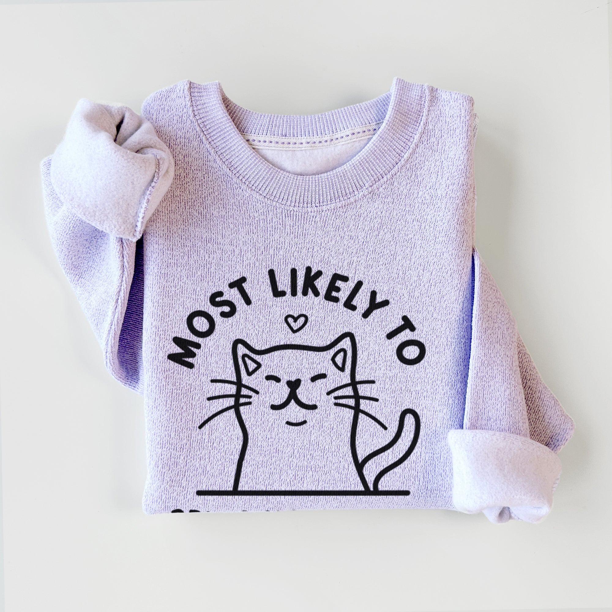 Most Likely to Bring Home a Cat - Knit Sweatshirt