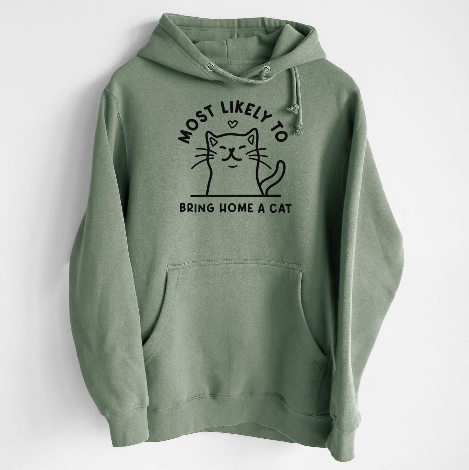 Most Likely to Bring Home a Cat - Heavyweight Fleece Hoodie