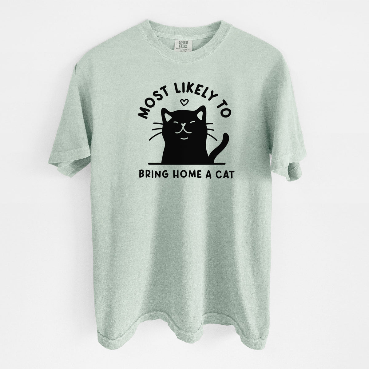 Most Likely to Bring Home a Cat - Black - Unisex Comfort Colors Garment-Dyed Heavyweight T-shirt in Bay