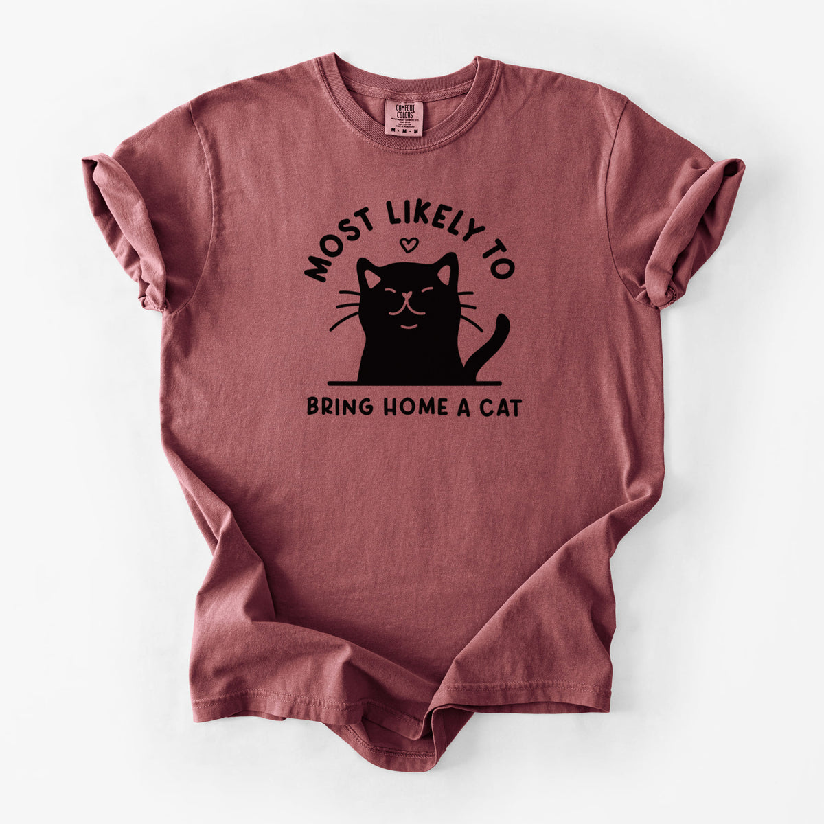 Most Likely to Bring Home a Cat - Black - Unisex Comfort Colors Garment-Dyed Heavyweight T-shirt in Brick