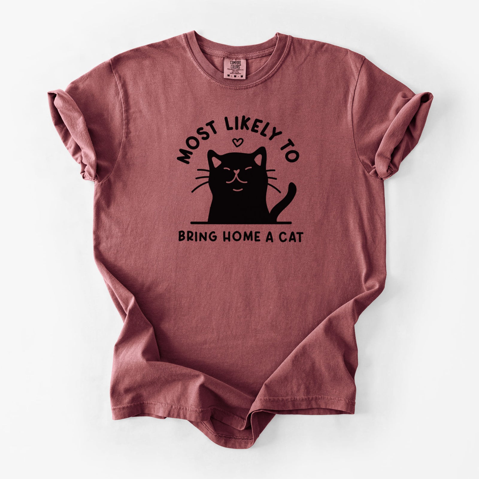 Most Likely to Bring Home a Cat - Black - Unisex Comfort Colors Garment-Dyed Heavyweight T-shirt in Brick