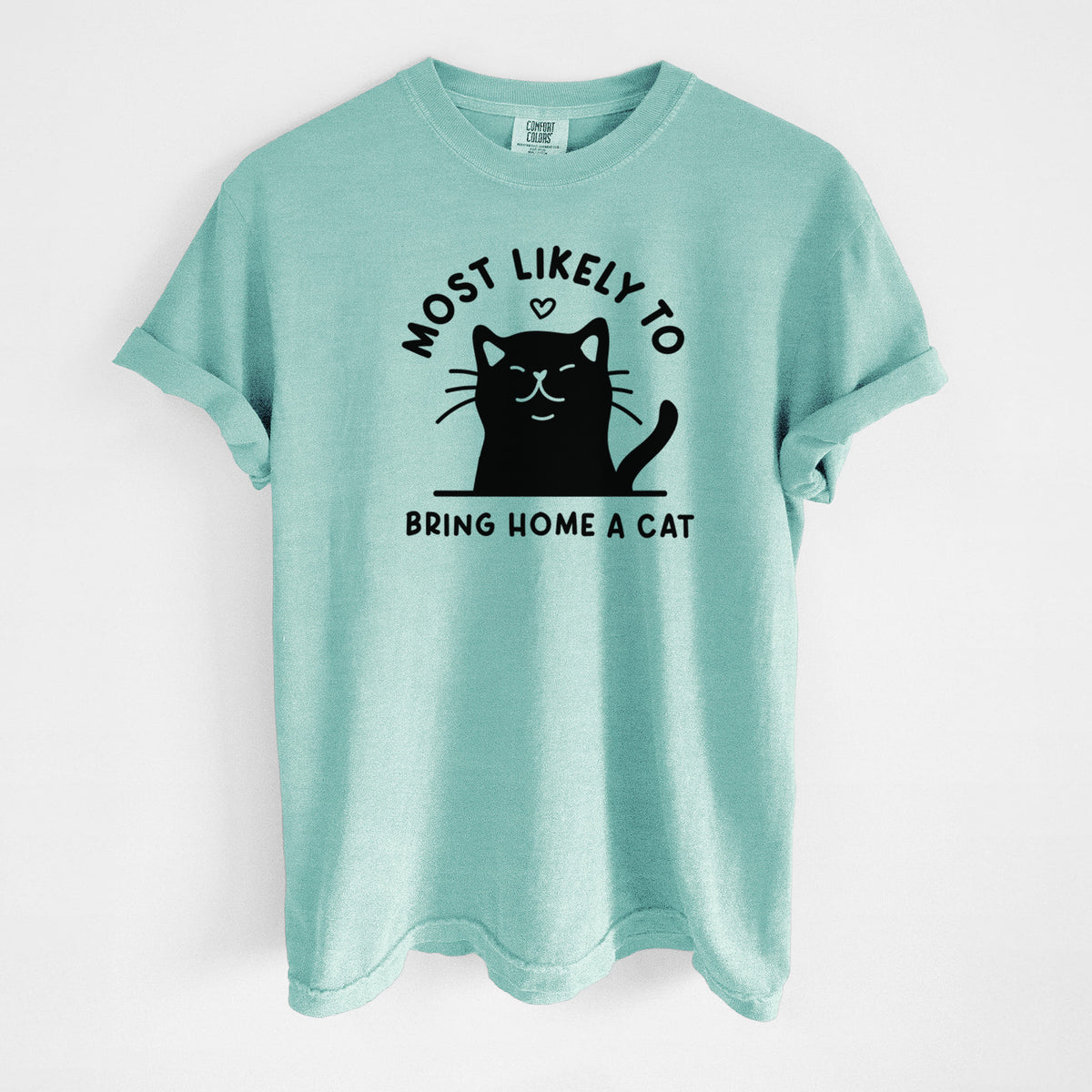 Most Likely to Bring Home a Cat - Black - Unisex Comfort Colors Garment-Dyed Heavyweight T-shirt in Chalky Mint