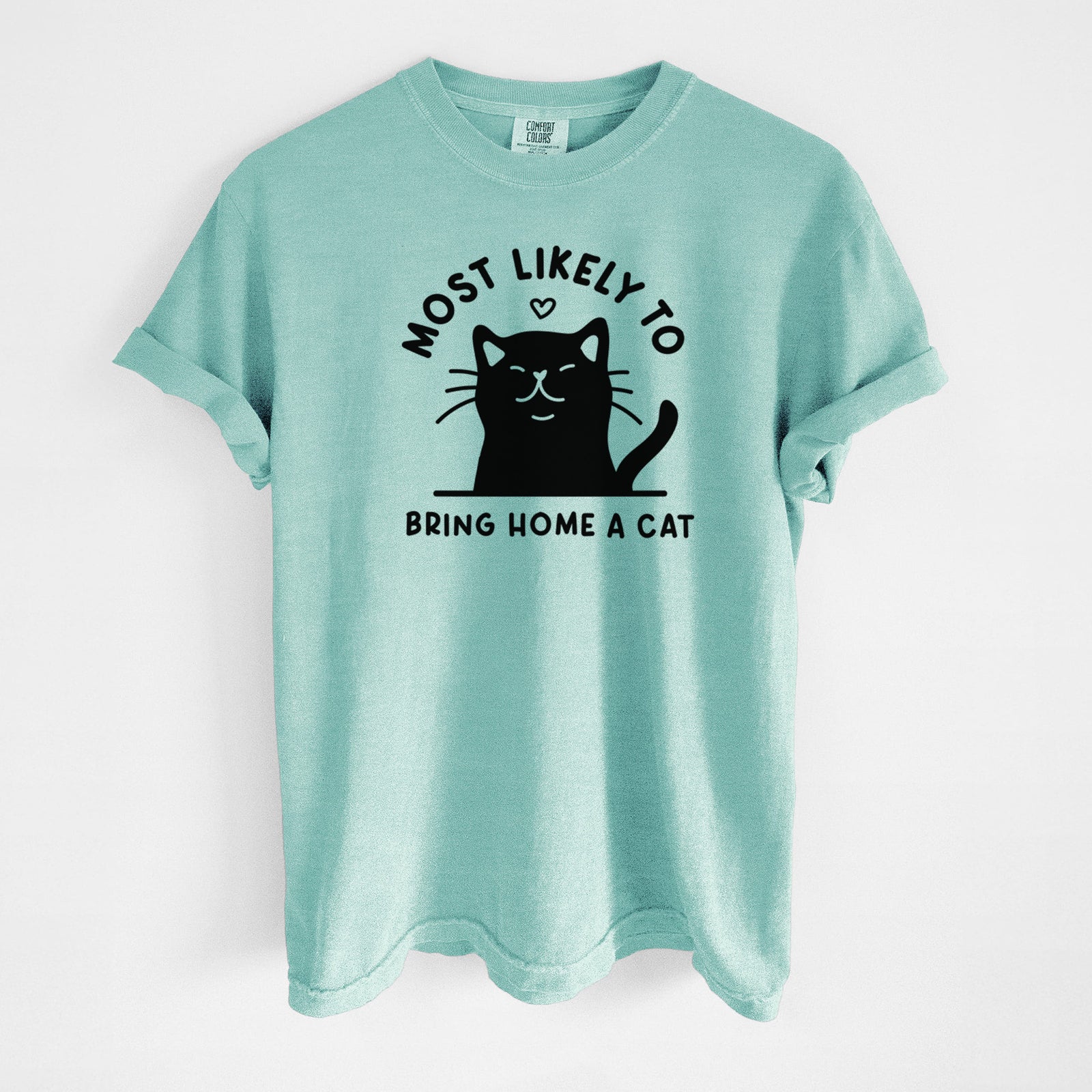 Most Likely to Bring Home a Cat - Black - Unisex Comfort Colors Garment-Dyed Heavyweight T-shirt in Chalky Mint