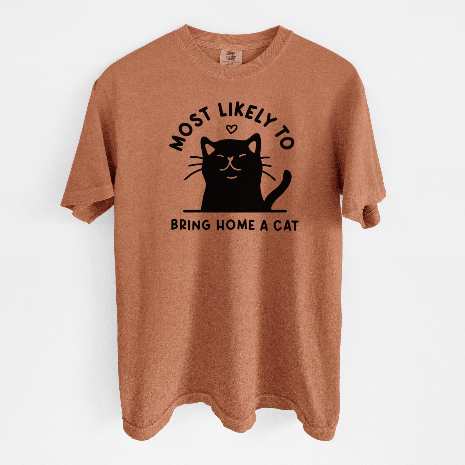 Most Likely to Bring Home a Cat - Black - Unisex Comfort Colors Garment-Dyed Heavyweight T-shirt in Yam