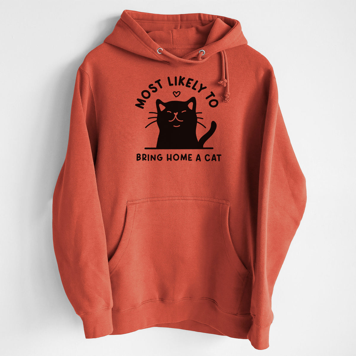 Most Likely to Bring Home a Cat - Black - Heavyweight Fleece Hoodie