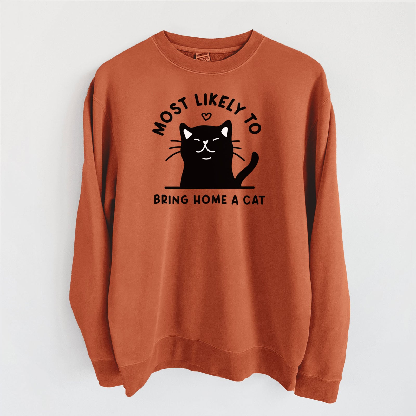 Most Likely to Bring Home a Cat - Black - Unisex Pigment Dyed Crew Sweatshirt in Amber