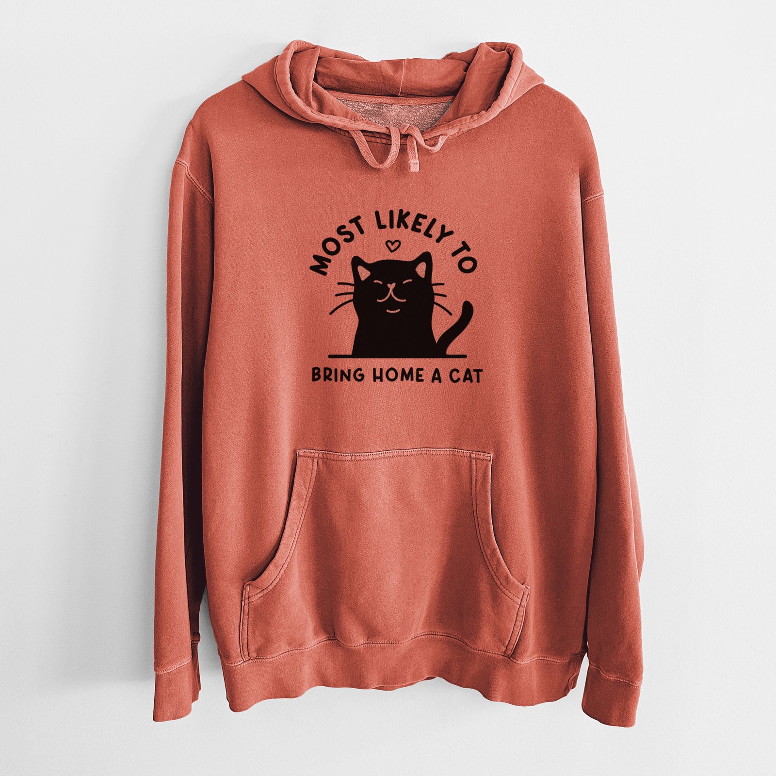 Most Likely to Bring Home a Cat - Black - Unisex Pigment Dyed Hoodie
