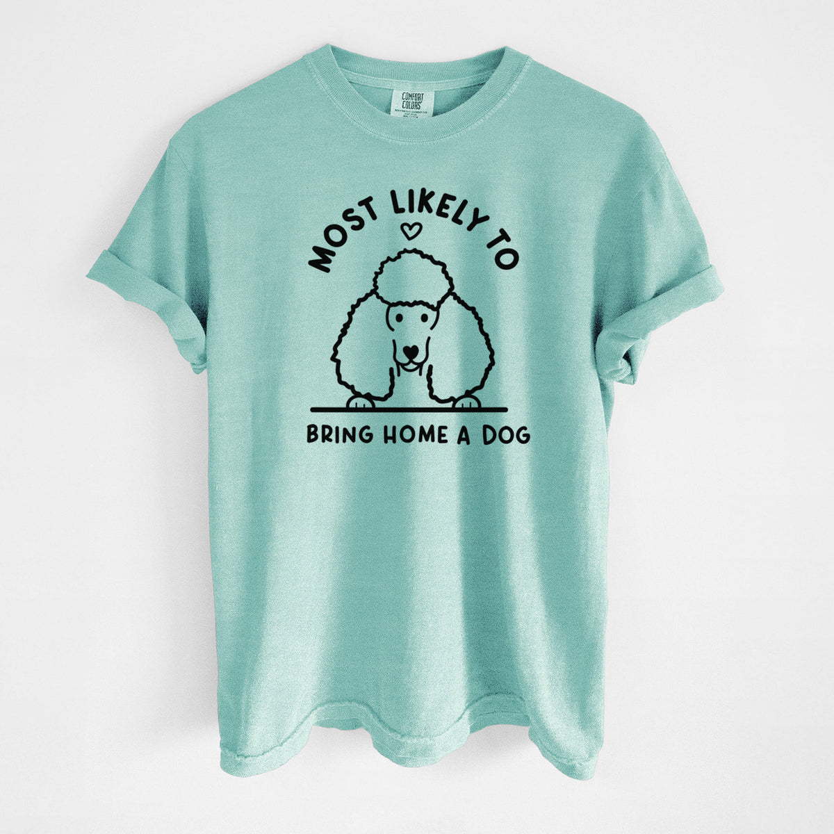Most Likely to Bring Home a Dog - Poodle - Unisex Comfort Colors Garment-Dyed Heavyweight T-shirt in Chalky Mint