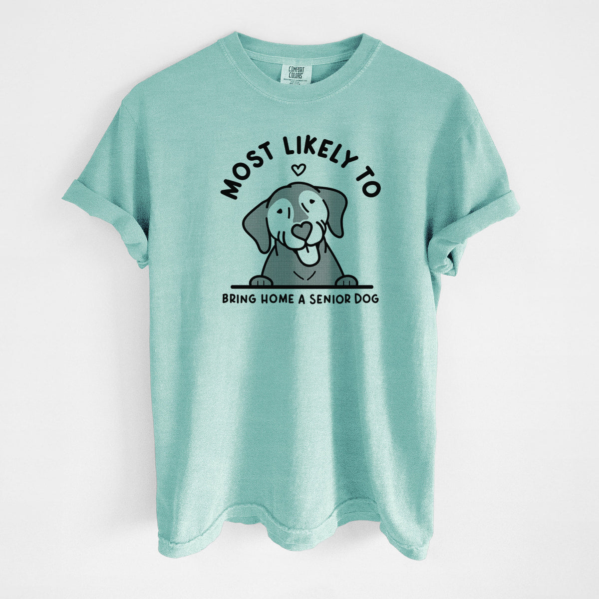 Most Likely to Bring Home a Senior Dog - Unisex Comfort Colors Garment-Dyed Heavyweight T-shirt in Chalky Mint