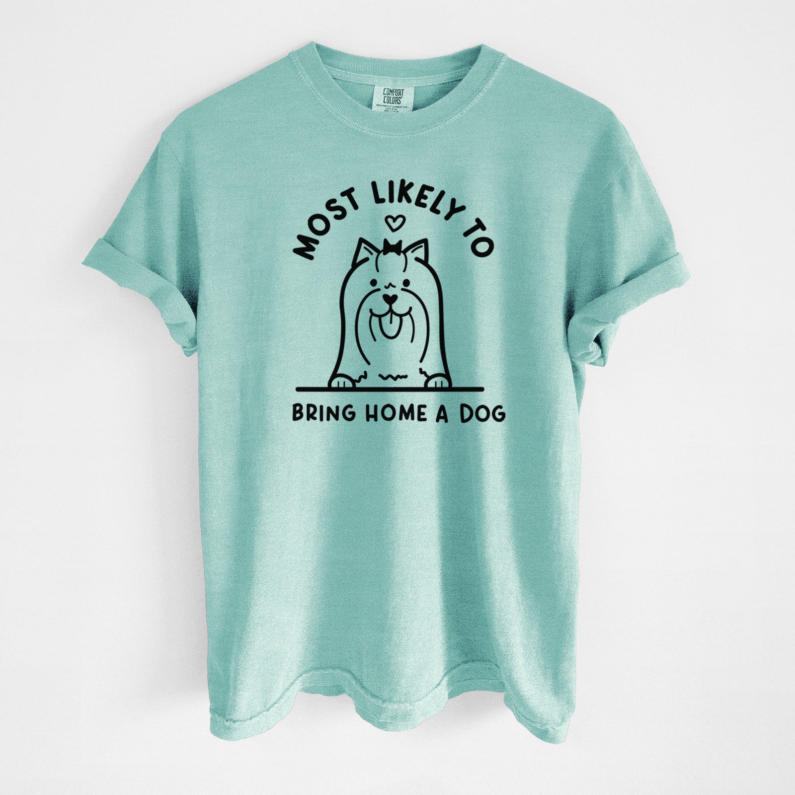 Most Likely to Bring Home a Dog - Yorkshire Terrier - Unisex Comfort Colors Garment-Dyed Heavyweight T-shirt in Chalky Mint