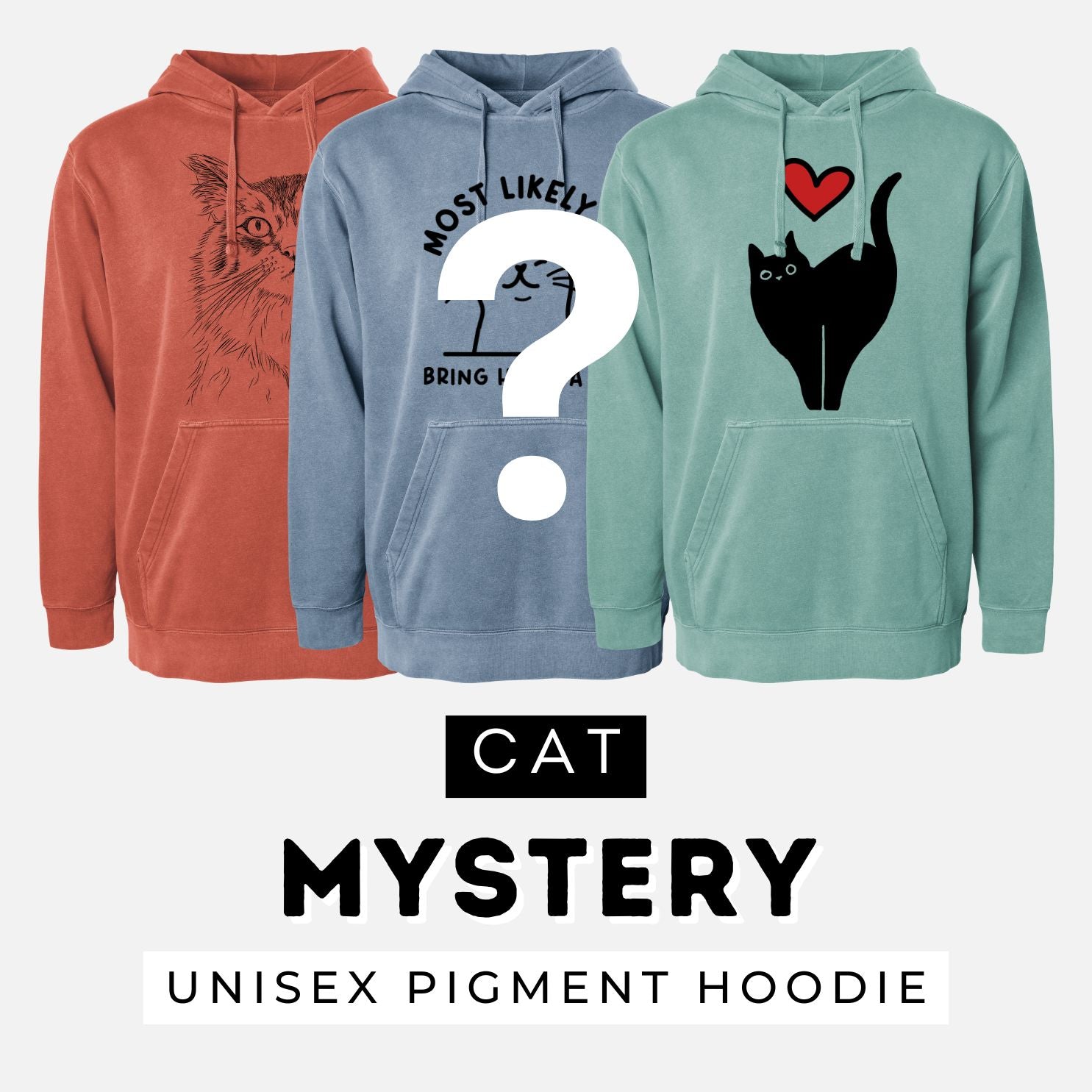 Cat — Sweatshirt Mystery Grab Bag