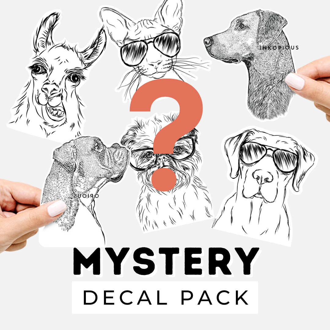 Total Surprise Decal Mystery Grab Bag