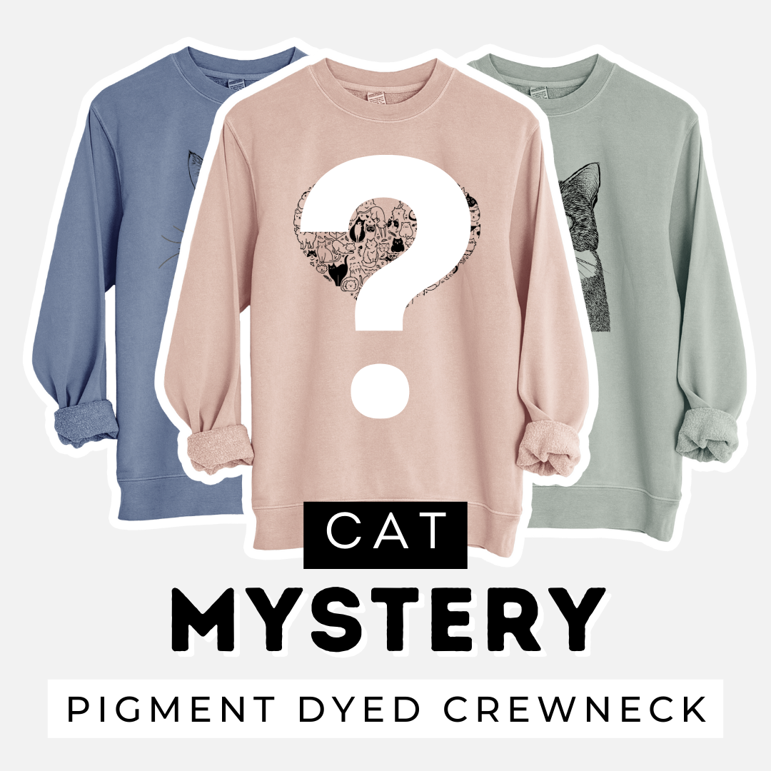 Cat — Sweatshirt Mystery Grab Bag