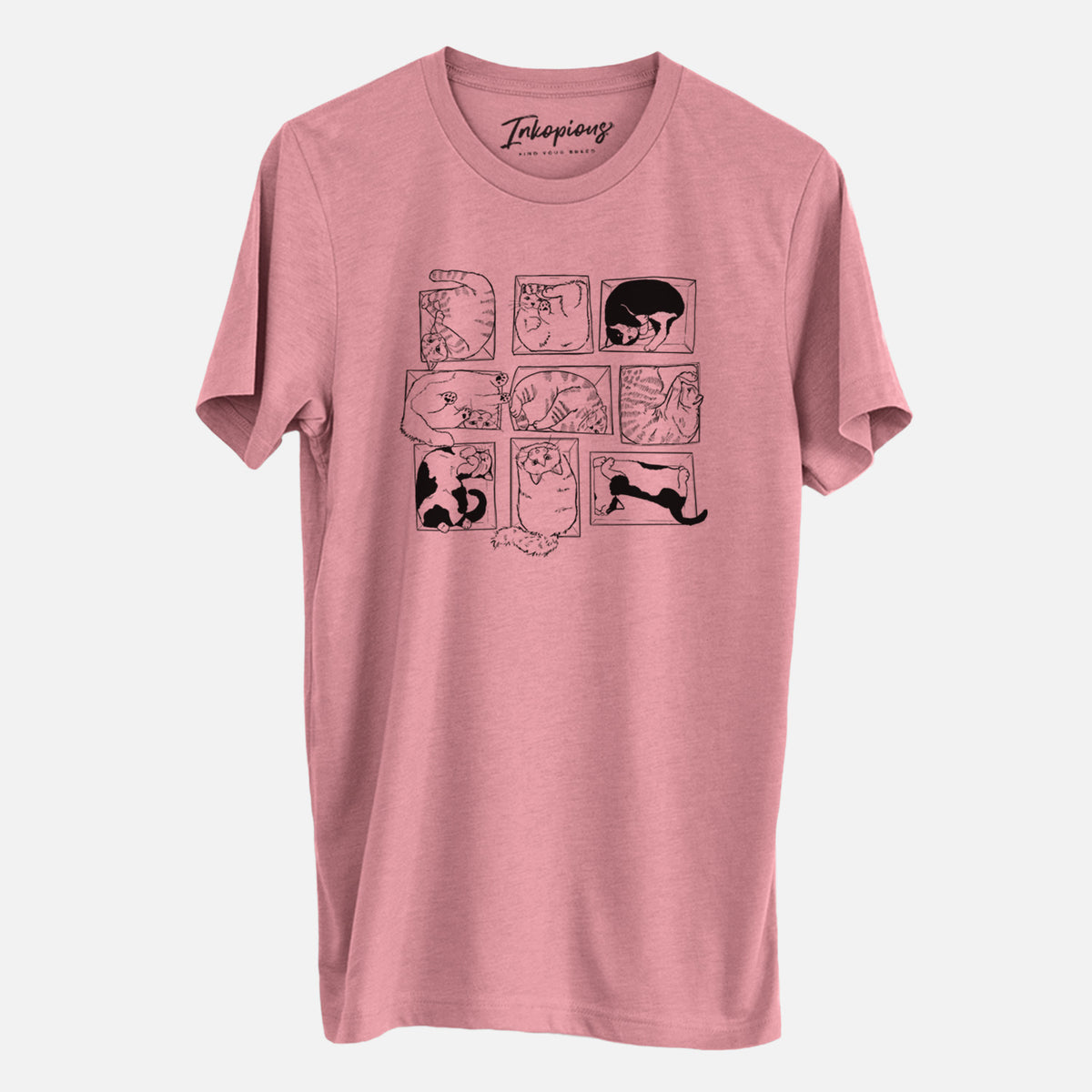 Cats in Boxes - Unisex Crewneck