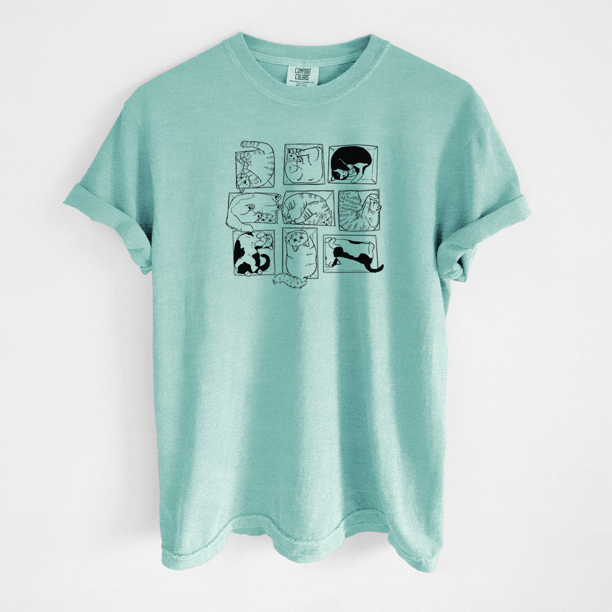Cats in Boxes - Unisex Comfort Colors Garment-Dyed Heavyweight T-shirt in Chalky Mint